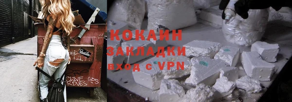 сатива Волоколамск