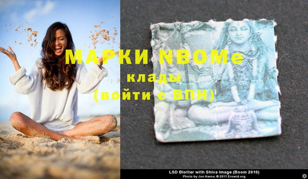 сатива Волоколамск