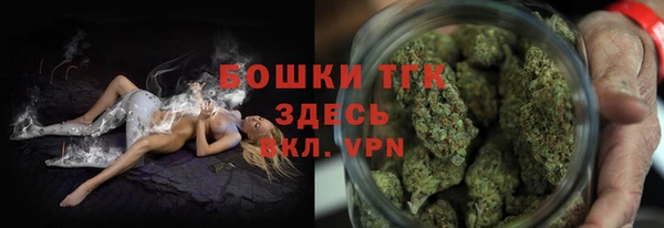 сатива Волоколамск