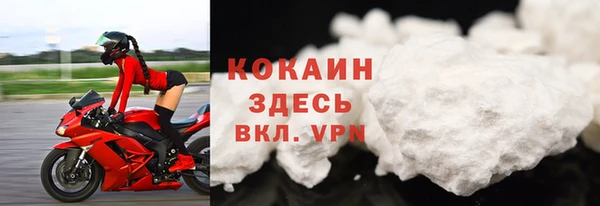 сатива Волоколамск