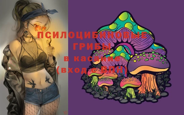 сатива Волоколамск