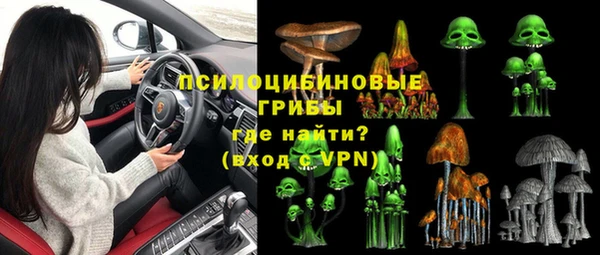 сатива Волоколамск