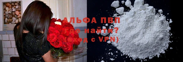сатива Волоколамск