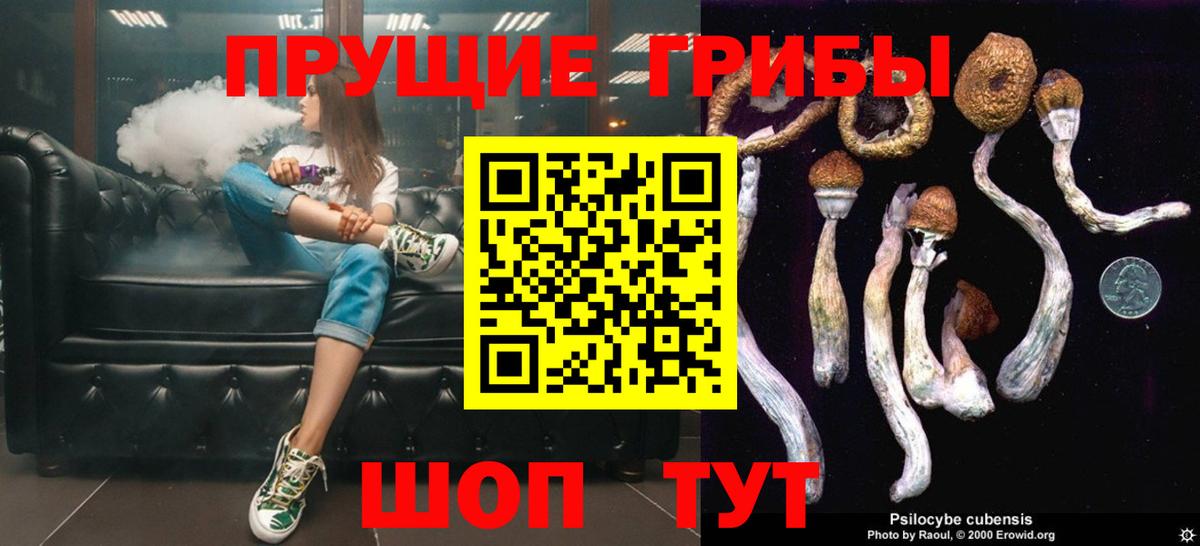 где можно купить наркотик  Галлюциногенные грибы Psilocybe  Вход с VPN  Воскресенск 